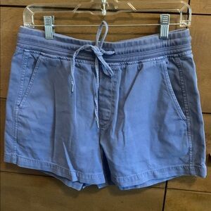 GAP Casual Blue Drawstring Shorts